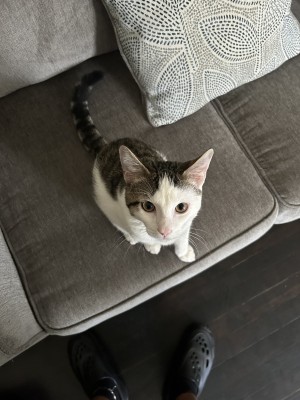 Photo of Ethel