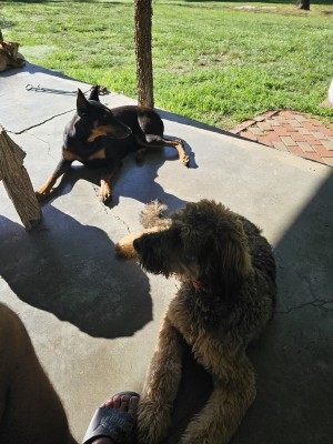 Photo of Maggie