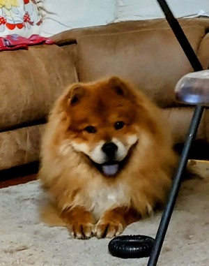Photo of Sir