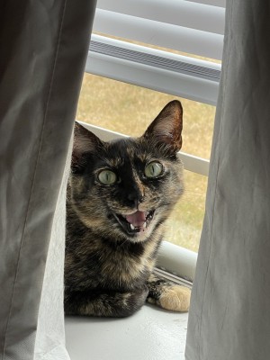 Photo of Zoe
