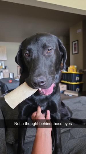 Photo of Flatt(Buddy)
