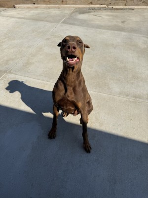 Photo of Ares
