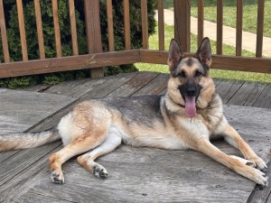 Photo of Roxy
