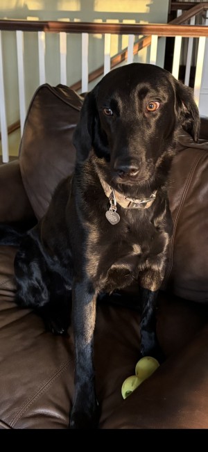 Photo of Motley