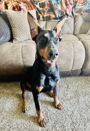 Photo of Tank