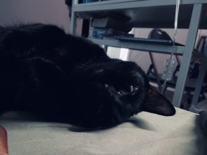 Photo of Yuki
