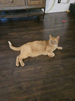 Photo of Wally