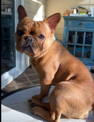 Photo of Hobbs