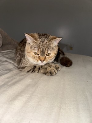 Photo of Hazel