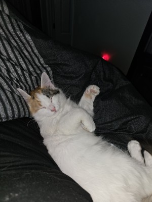 Photo of Marshy