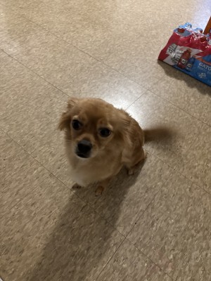 Photo of Elsa