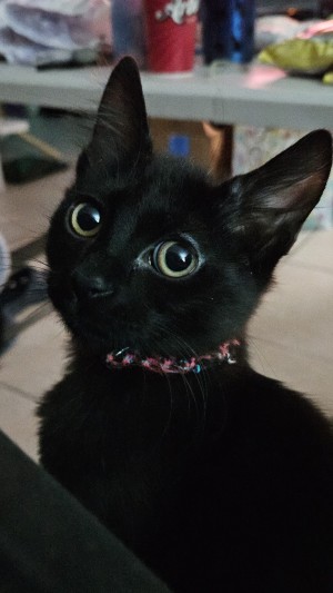 Photo of Mia
