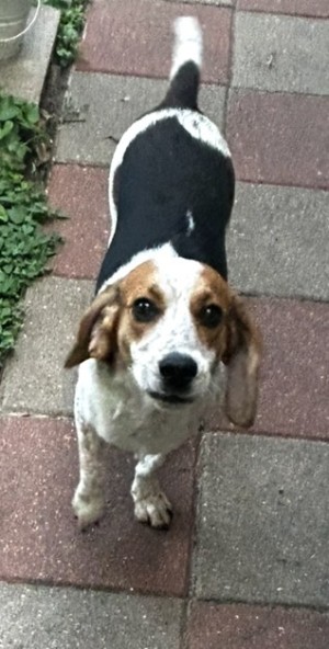 Photo of Astro