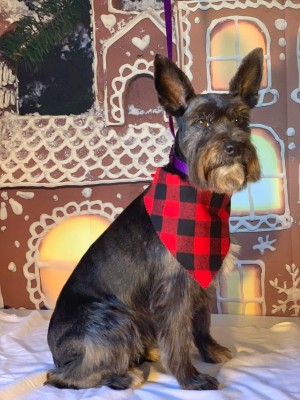 Photo of Zuzu