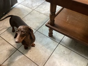 Photo of Heidi