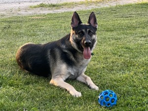 Photo of Hoss