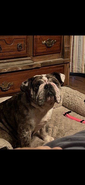 Photo of Princess