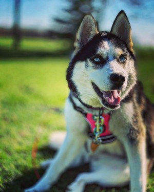 Photo of Lucy