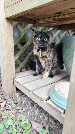 Photo of Della