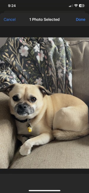Photo of Jax