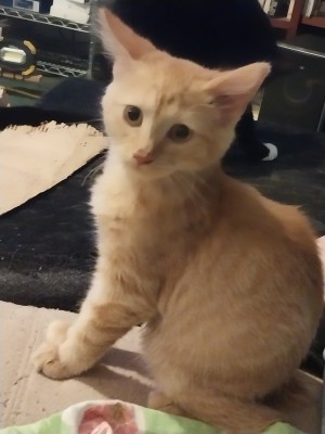 Photo of Little Bill