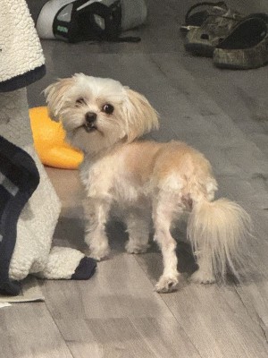 Photo of Lilly
