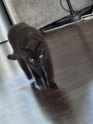 Photo of Percy