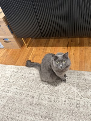 Photo of Oliver