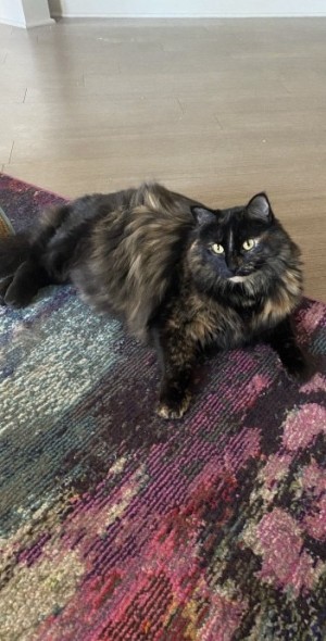 Photo of Mallory