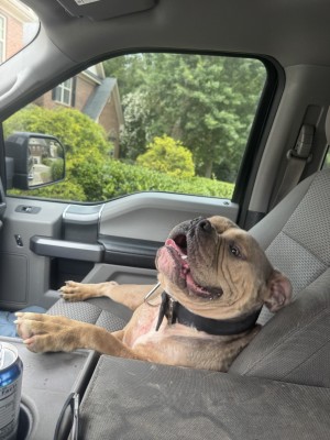 Photo of Otto
