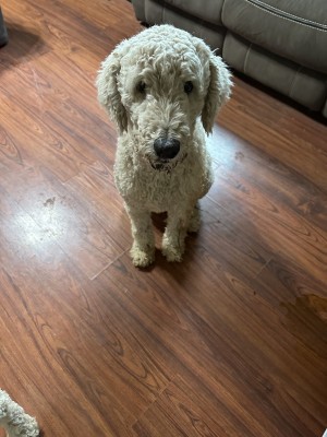 Photo of Miracle