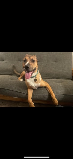 Photo of Chili
