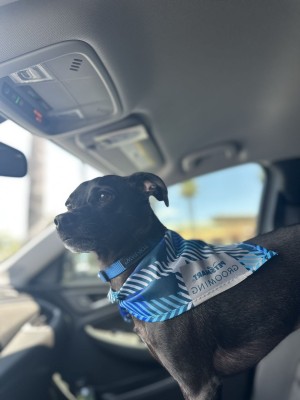 Photo of Kendrick