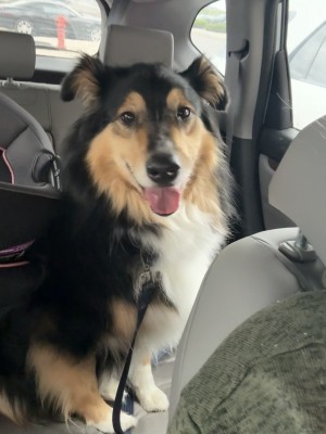 Photo of Elliott