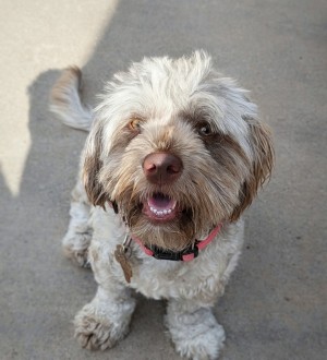 Photo of Maggie