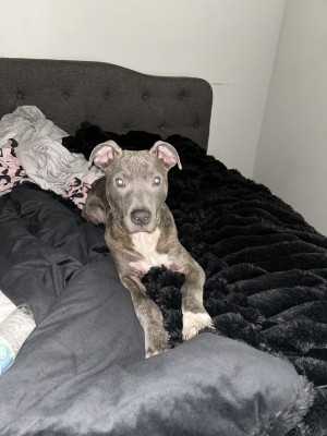 Photo of Zeus