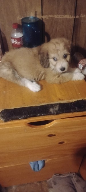 Photo of Not Yet Named