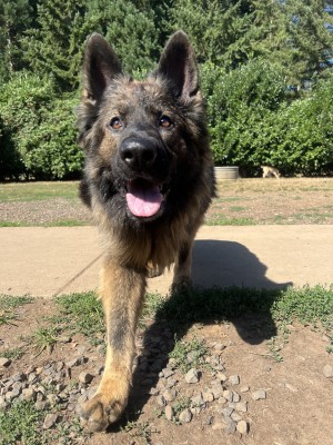 Photo of Tula
