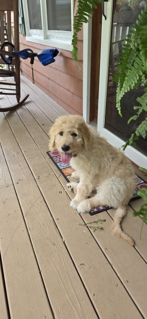 Photo of Ava Beth