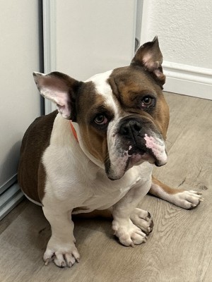 Photo of Luciano