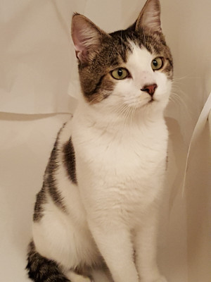 Photo of Charlie