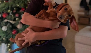 Photo of Hank