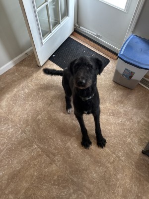 Photo of Luna