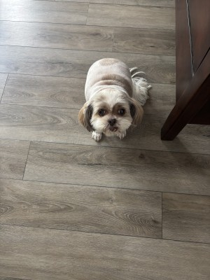 Photo of Emily