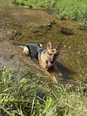 Photo of Mia