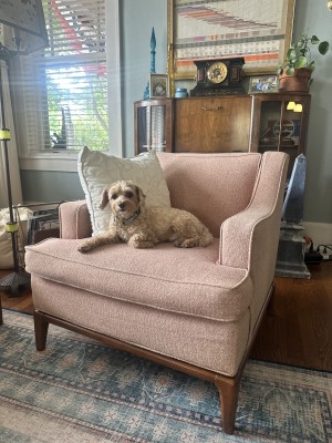 Photo of Boone