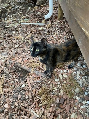 Photo of No Name