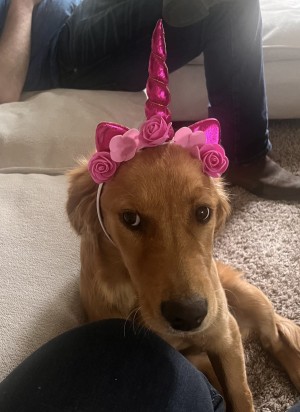 Photo of Darla