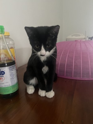 Photo of Esme