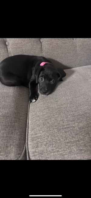 Photo of Remi Kate